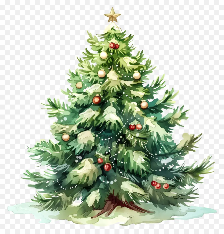 árbol De Navidad，Árbol De Navidad PNG