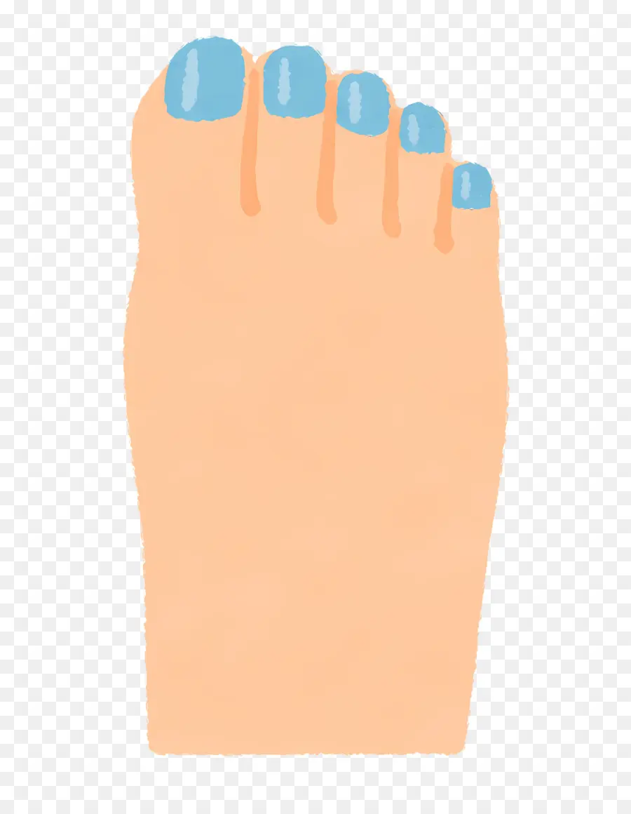 Pie，Uñas PNG