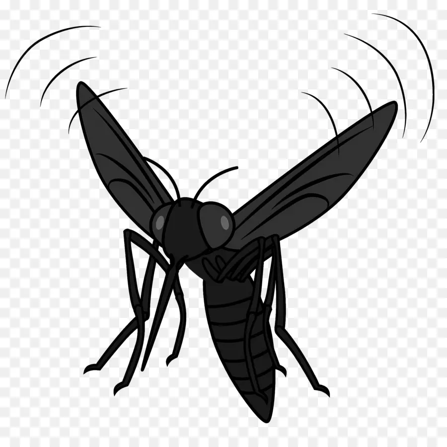 Mosquito，La Historieta PNG