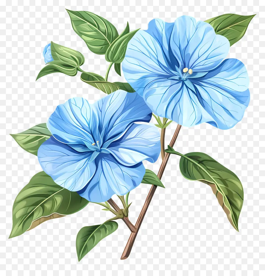 Flores De Color Azul，Flor De Pensamiento Azul PNG
