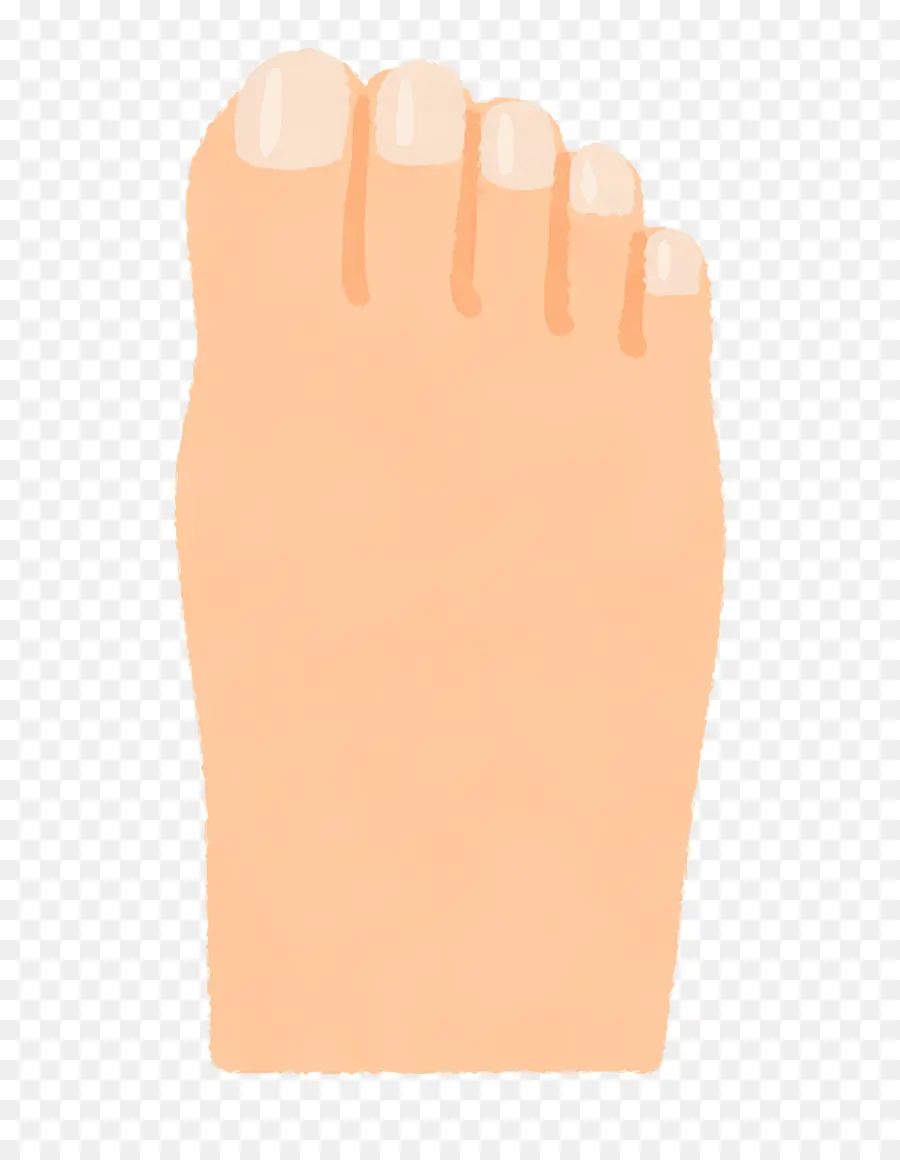 Pie，Uñas PNG