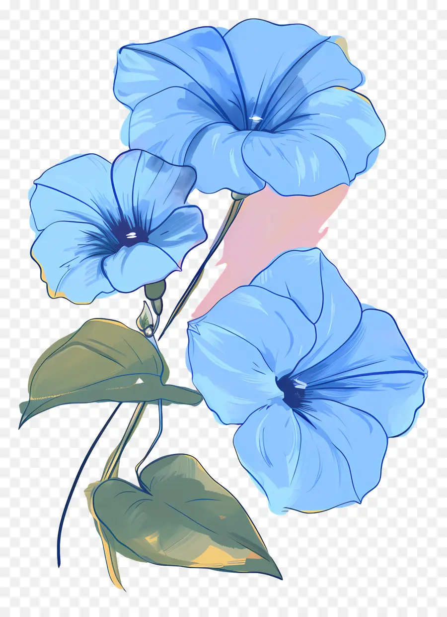 Gloria De La Mañana，Flores De Color Azul PNG