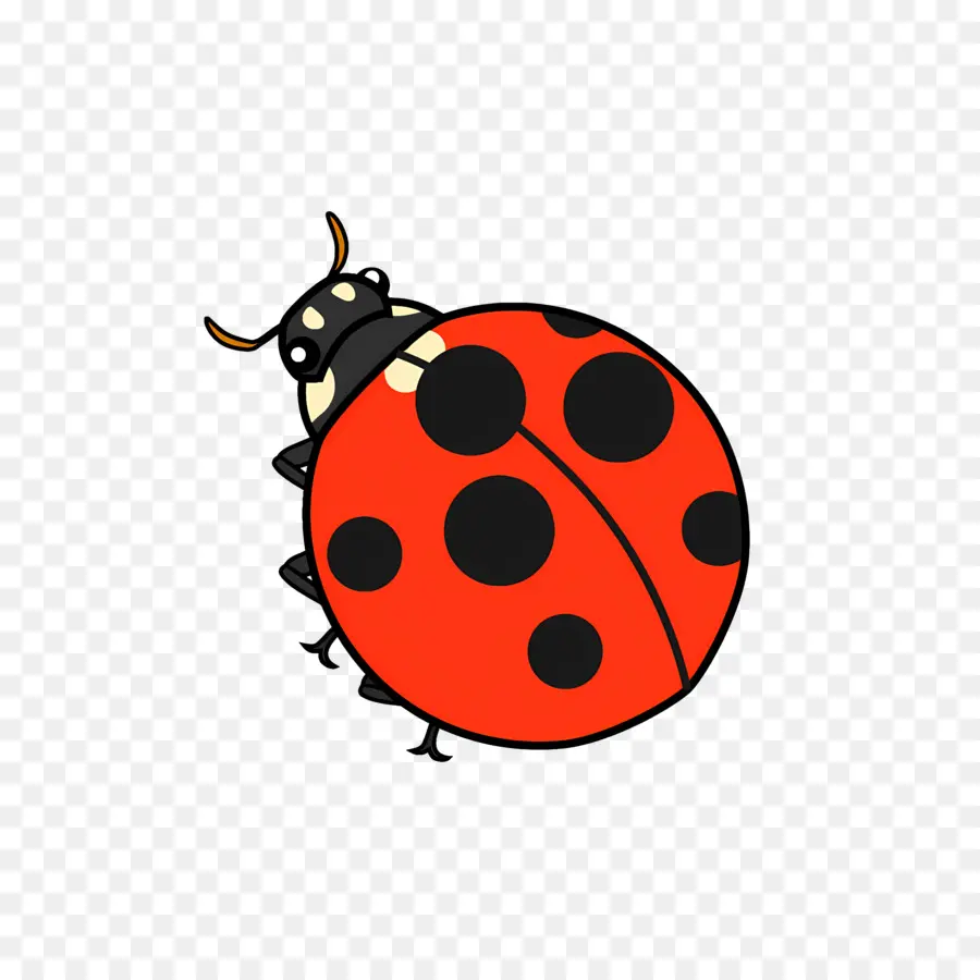 Ladybug，Dibujos Animados De Mariquita PNG