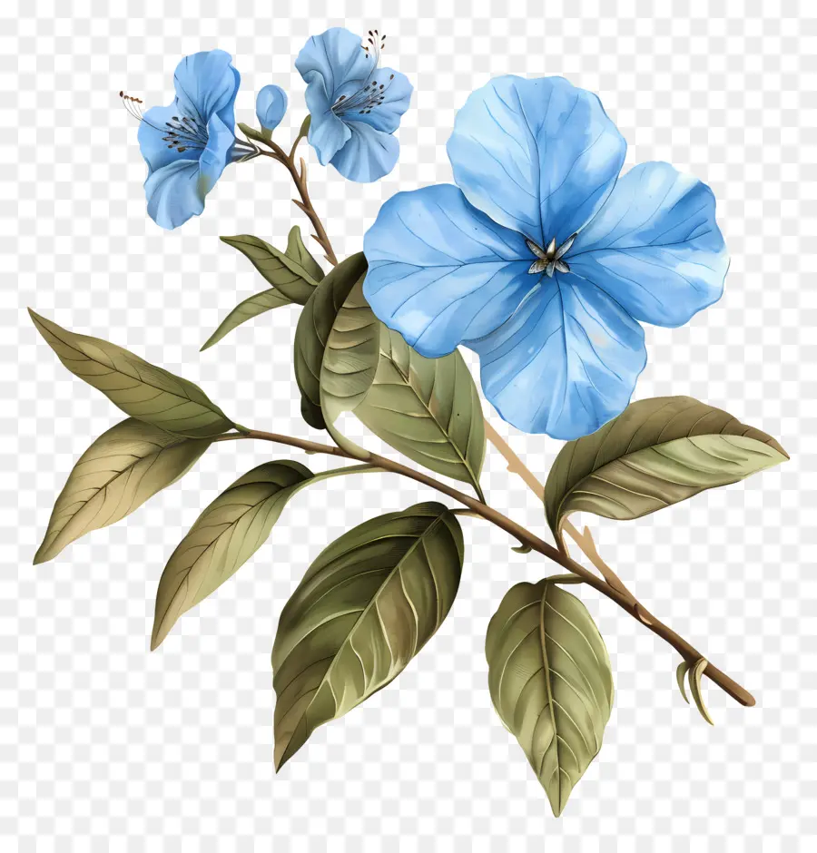Flores De Color Azul，Pintura A La Acuarela PNG