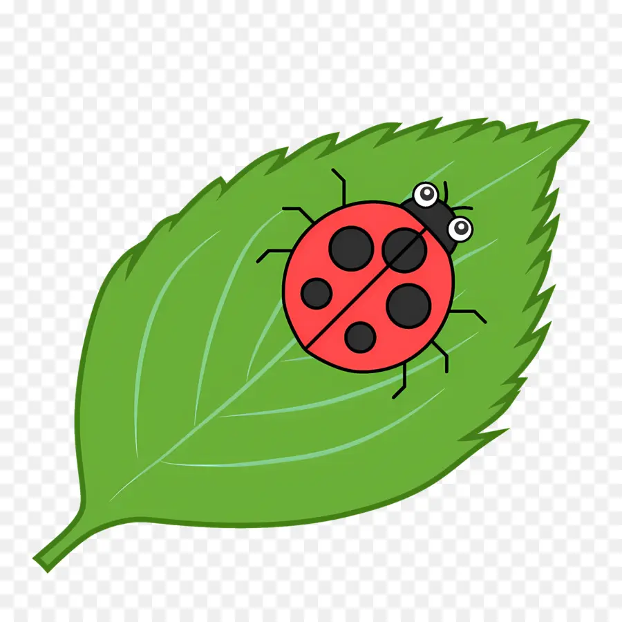 Ladybug，Verde Hoja PNG