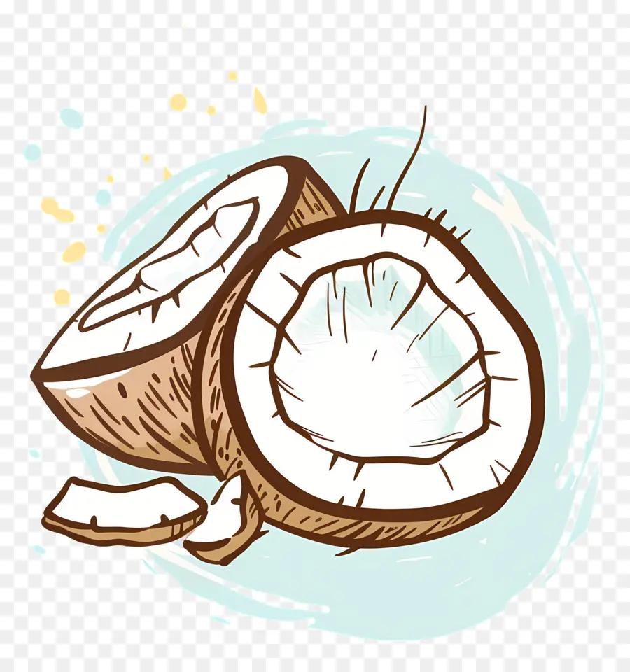 El Aceite De Coco，Coco PNG