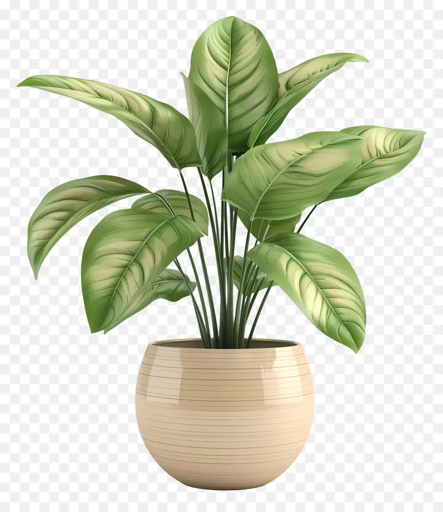 Planta Verde，Planta PNG