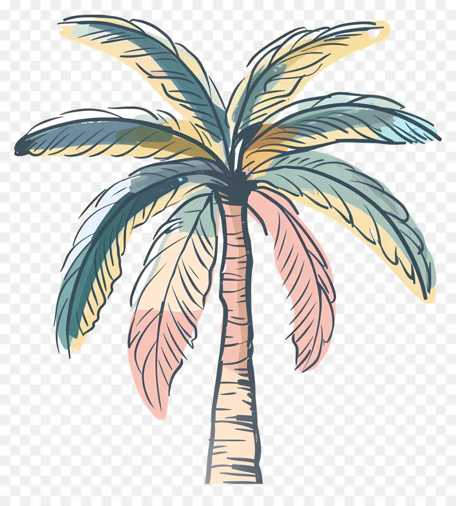 Palmera，Playa PNG