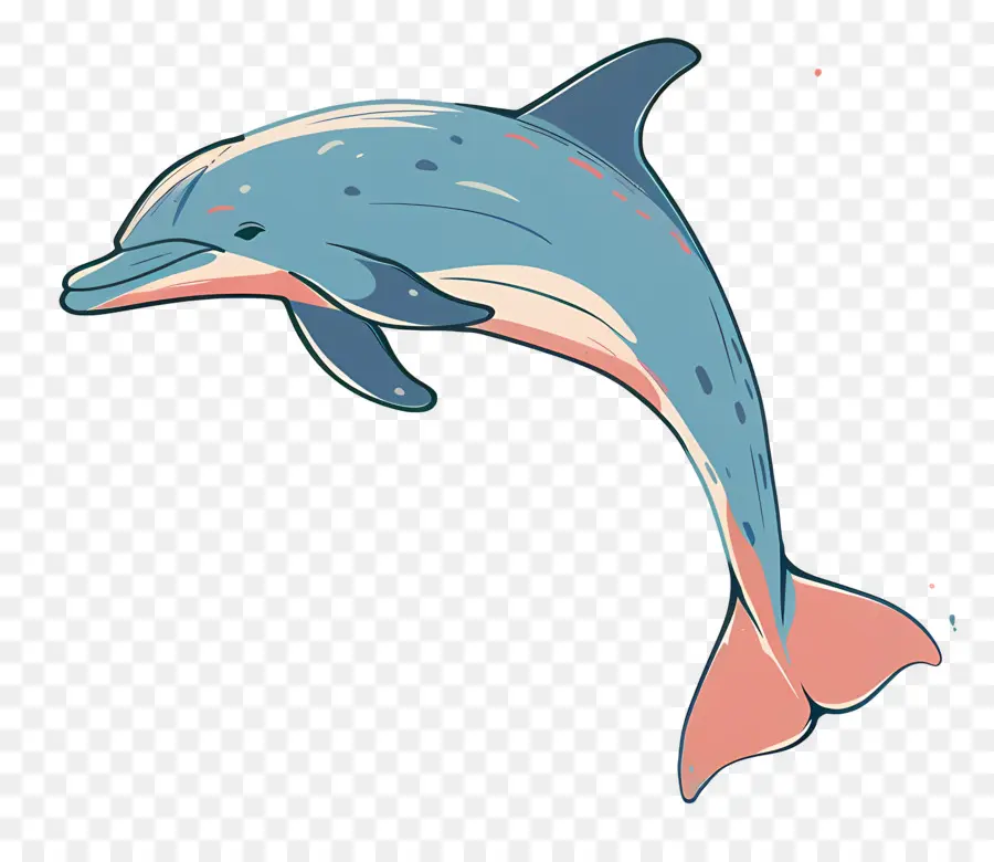 De Dibujos Animados De Los Delfines，Delfín PNG