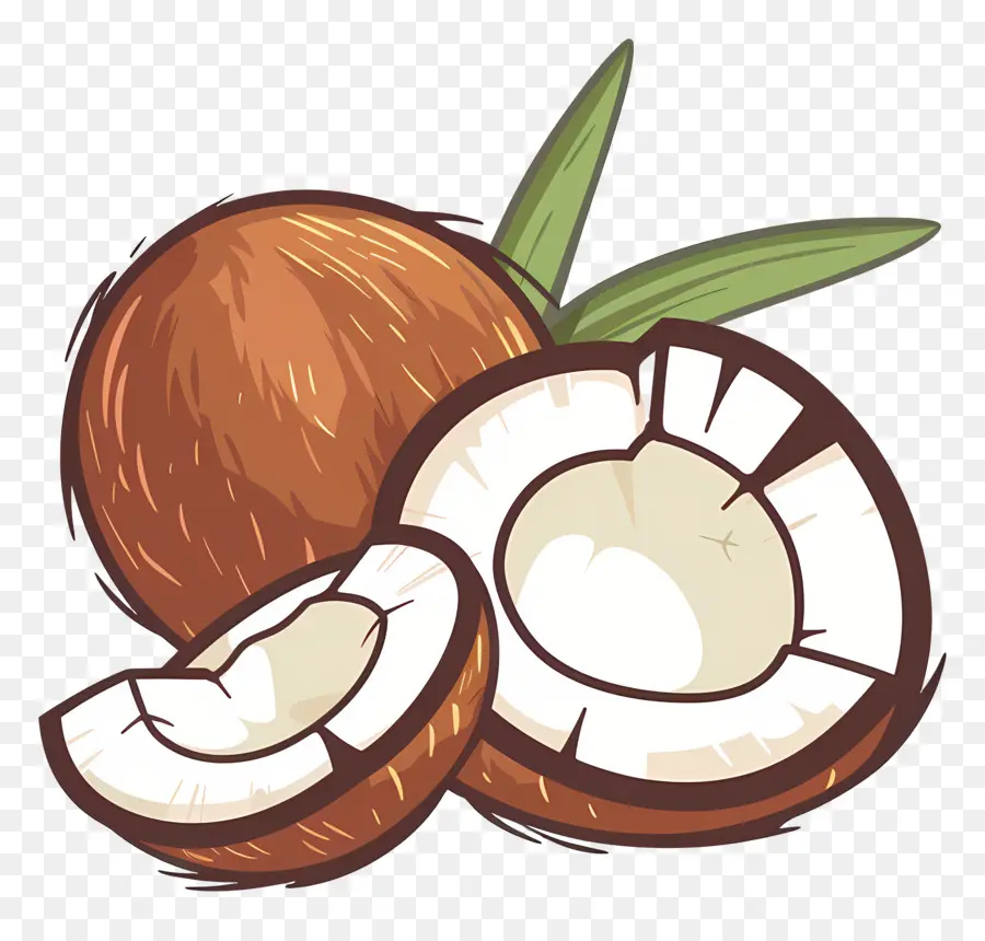 El Aceite De Coco，Coco PNG