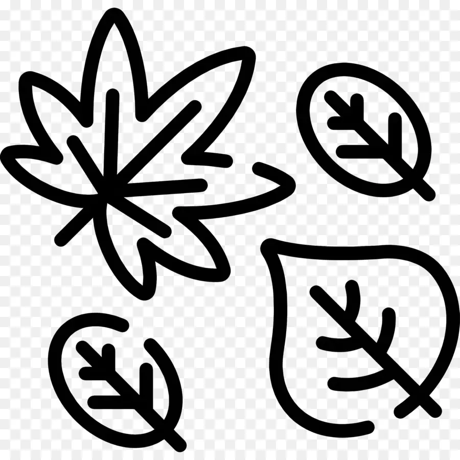 Autumn Leaves，Dibujo De Una Hoja PNG