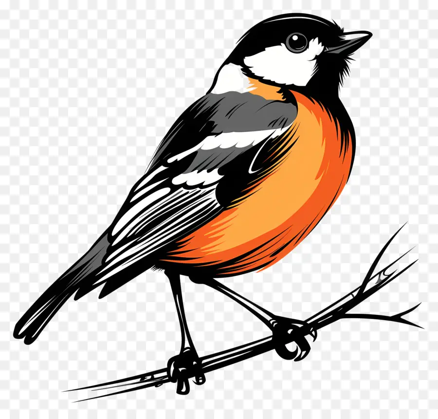 De Dibujos Animados De Aves，Blackbird PNG