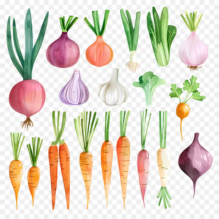 Verduras，Pintura A La Acuarela PNG