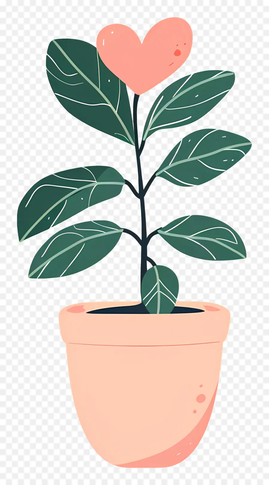 Planta De Stephania，Planta En Maceta PNG