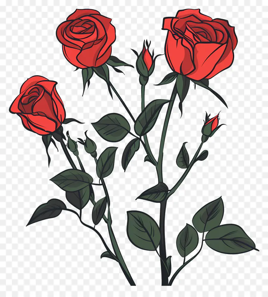 Rosas Rojas，Rosa Roja PNG