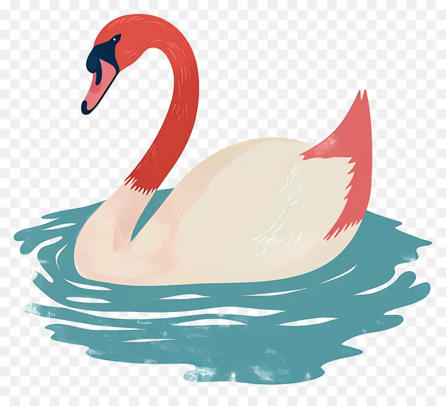 Cisne De Natación，Flamingo PNG