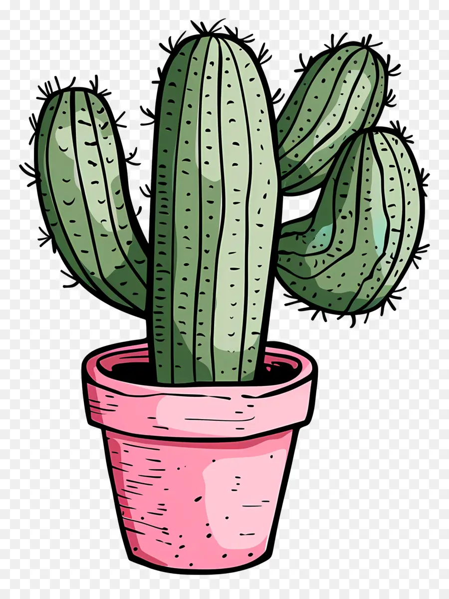 Macetas De Cactus，Planta De Cactus PNG