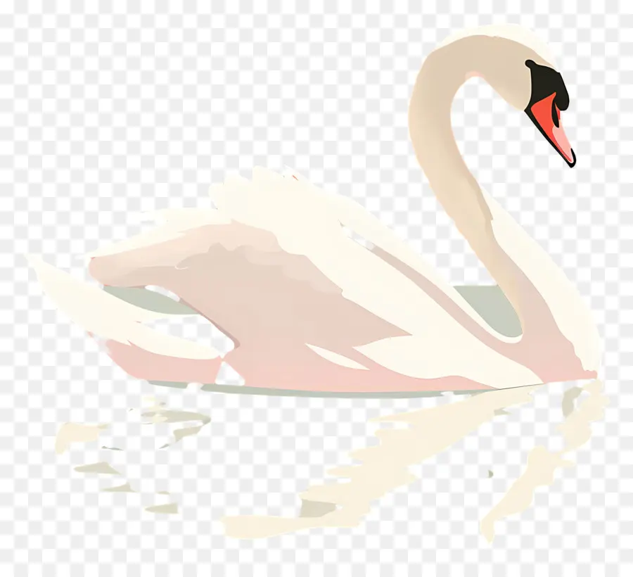 Cisne De Natación，Swan PNG