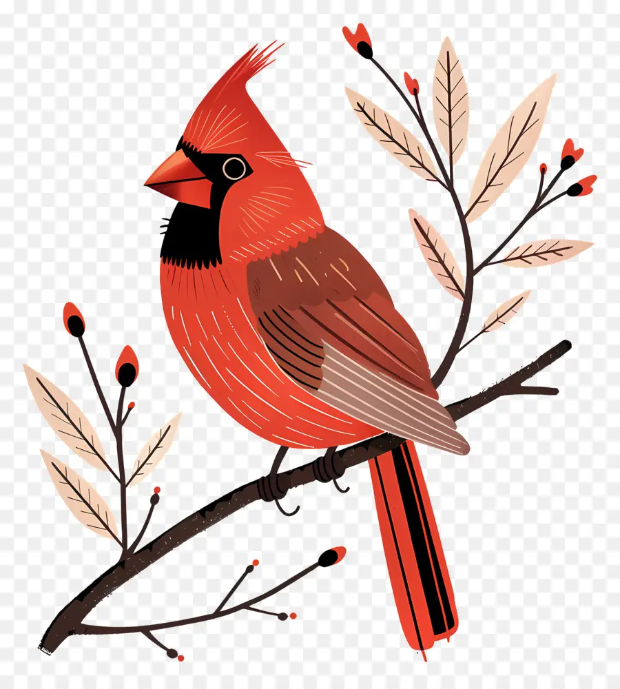 El Cardenal De Aves，Pájaro Rojo PNG