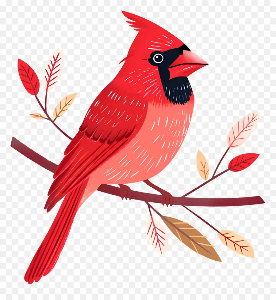 El Cardenal De Aves，Pájaro Rojo PNG