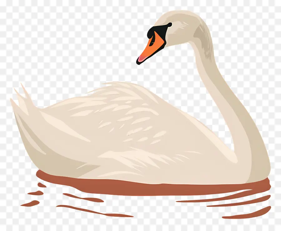 Cisne De Natación，Swan PNG