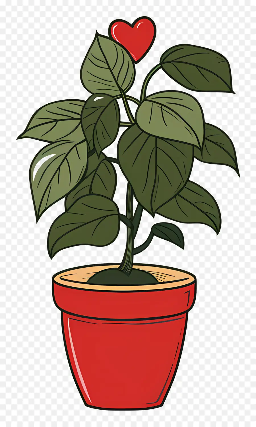 Planta De Stephania，Planta En Maceta PNG