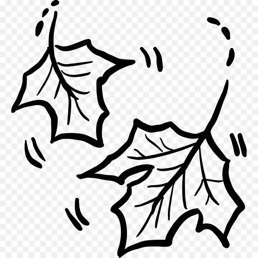 Autumn Leaves，En Blanco Y Negro PNG