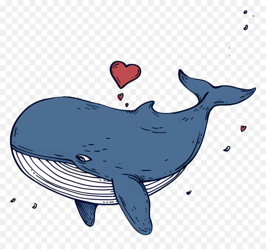 De Dibujos Animados De La Ballena，Ballena PNG