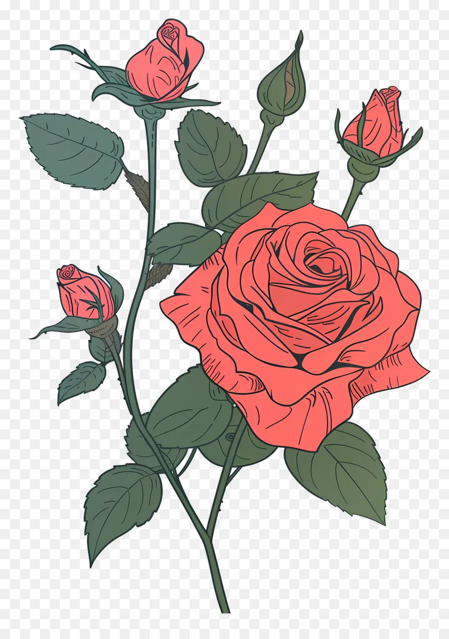 Rosas Rojas，Rosa Rosa PNG