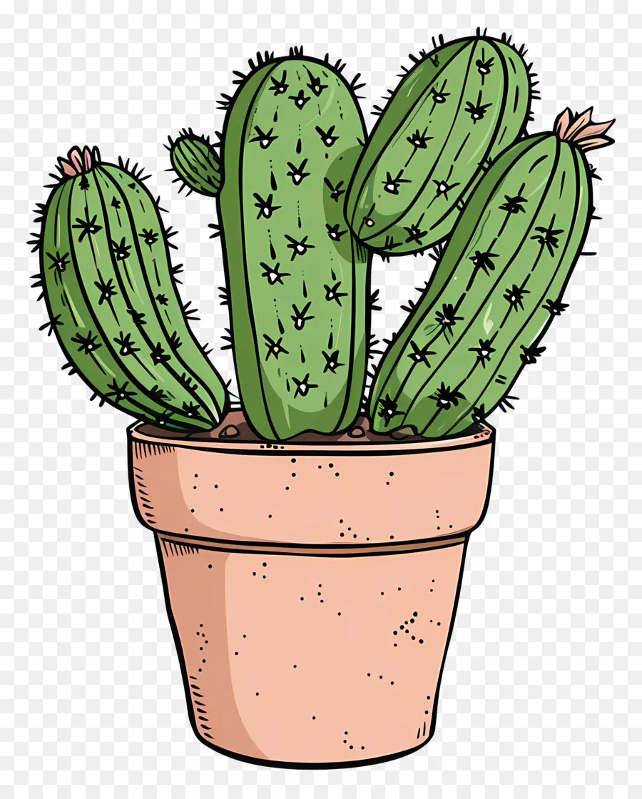 Macetas De Cactus，Cactus PNG