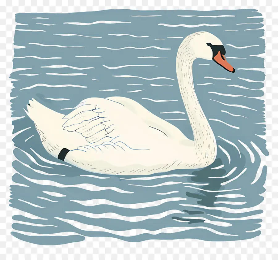 Cisne De Natación，Swan PNG