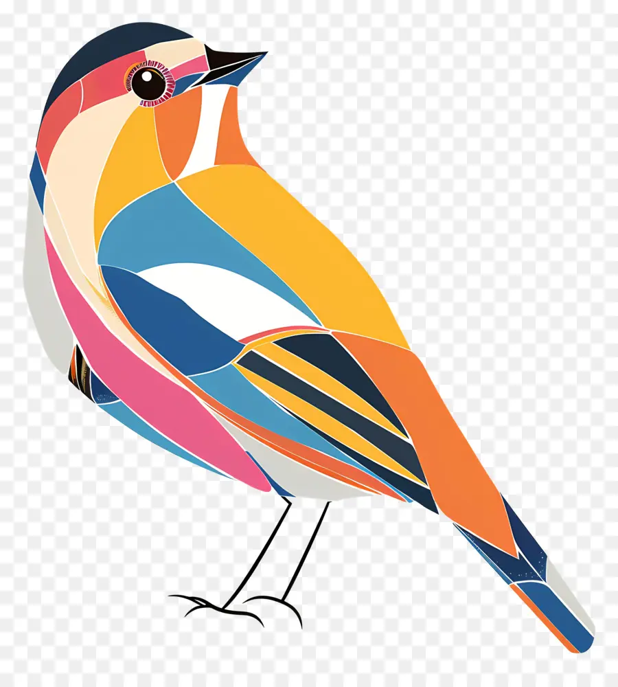 De Dibujos Animados De Aves，Aves PNG