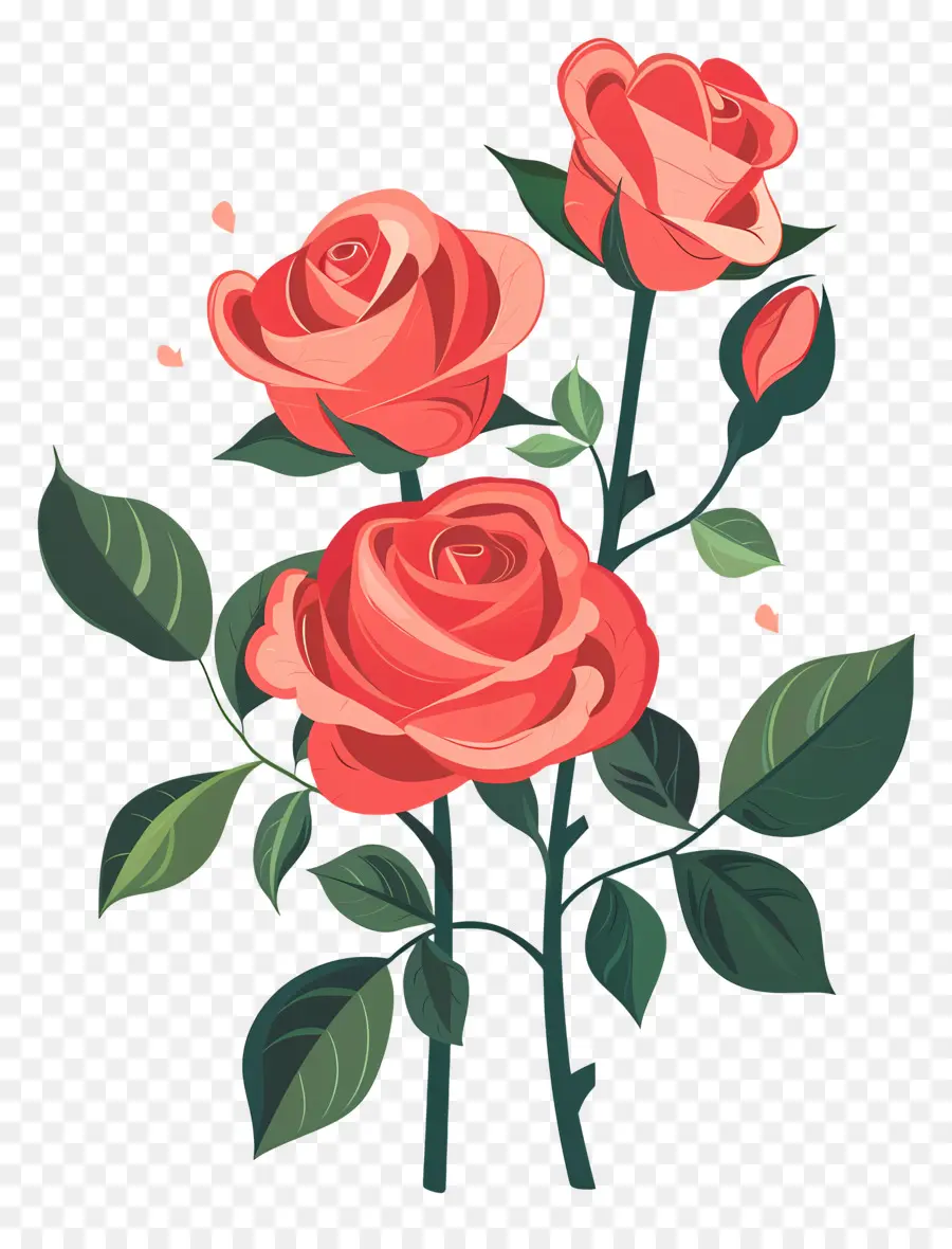 Rosas Rojas，Las Rosas PNG