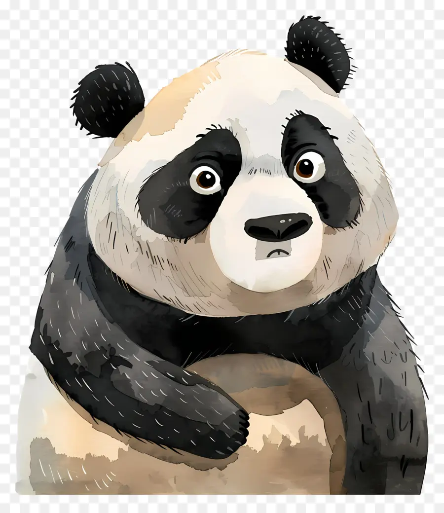 De Dibujos Animados Panda，Oso Panda PNG