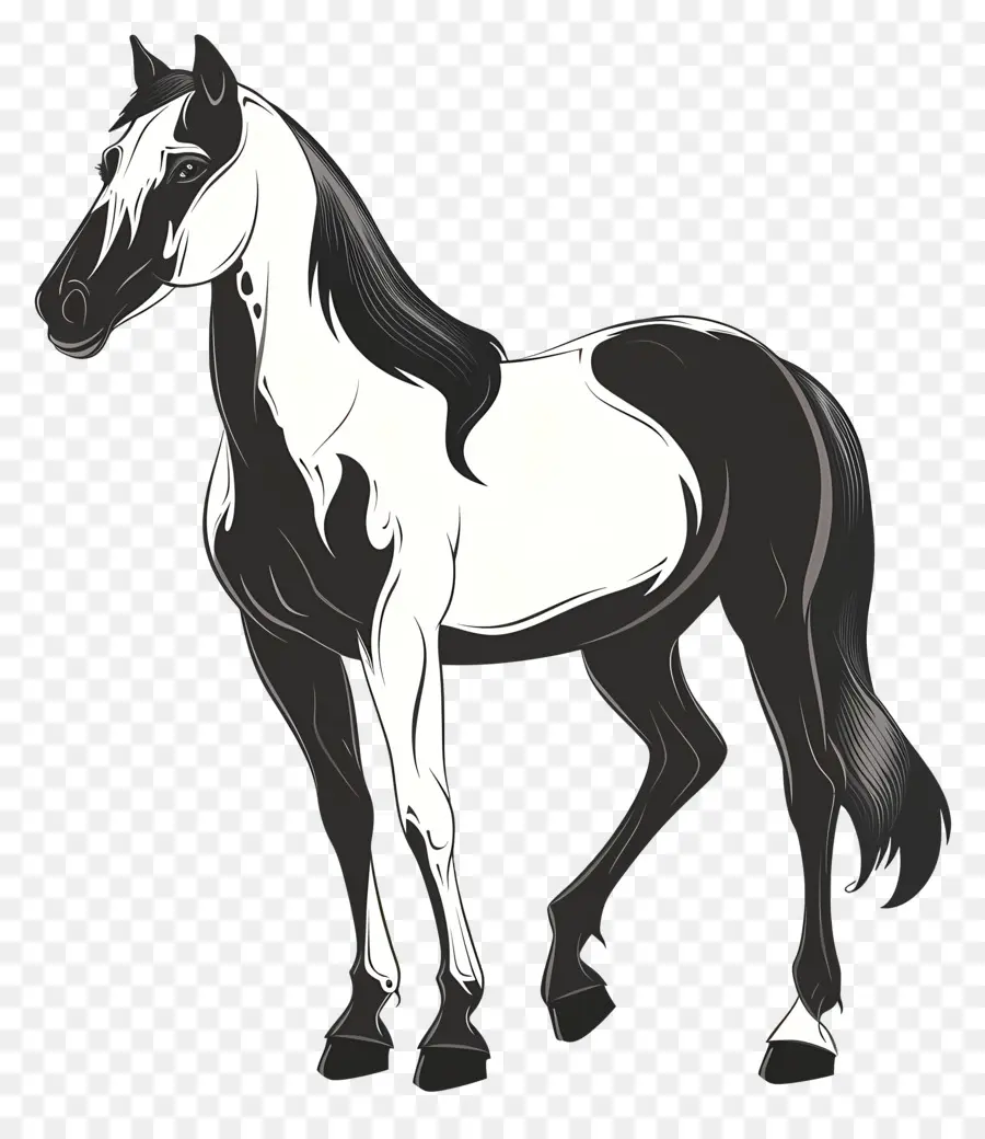 Dibujos Animados De Caballos，En Blanco Y Negro PNG