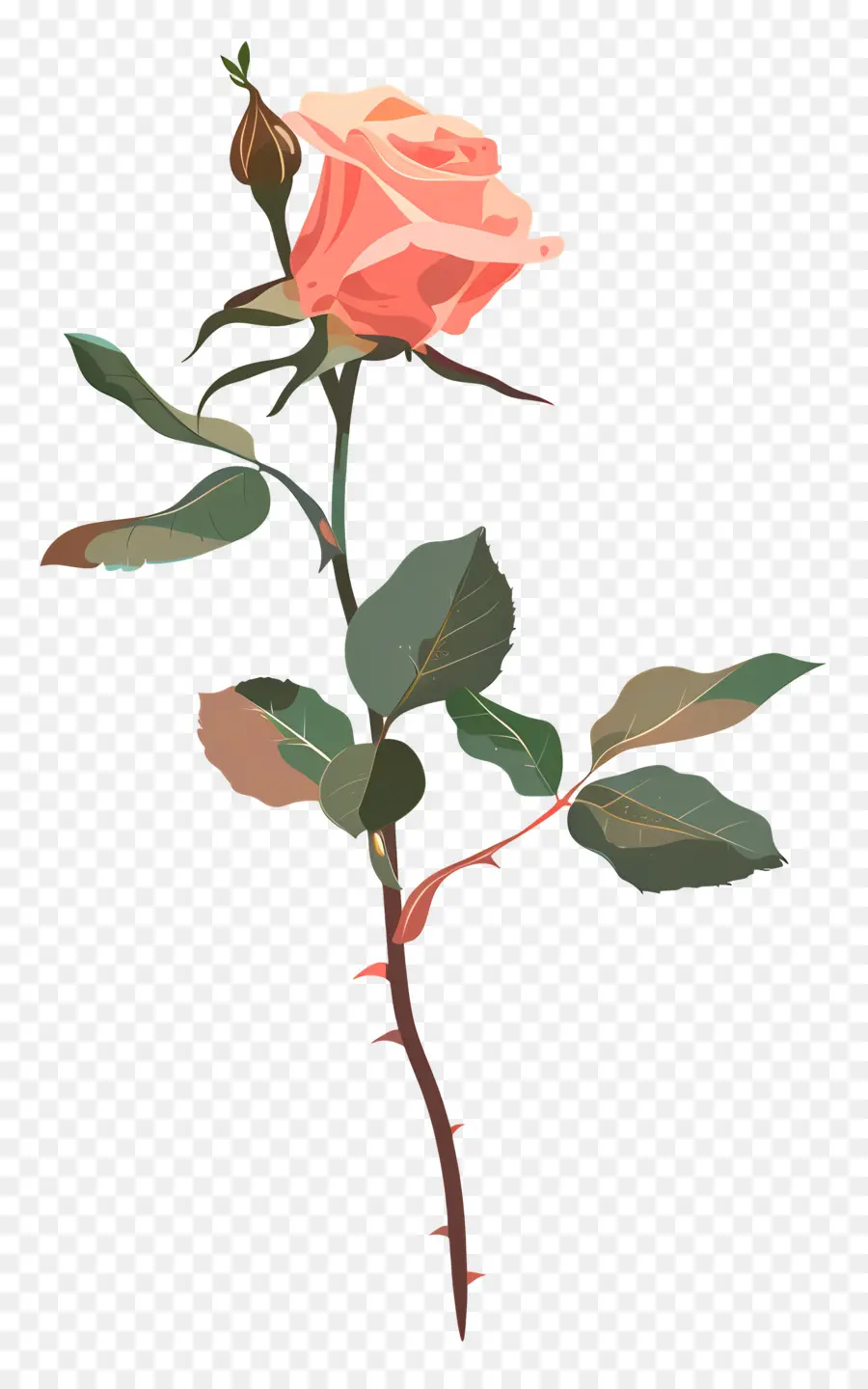 Tallo De Rosa，Rosa Rosa PNG