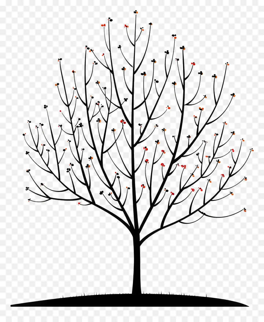 Tree Clipart，árbol Caducifolio PNG