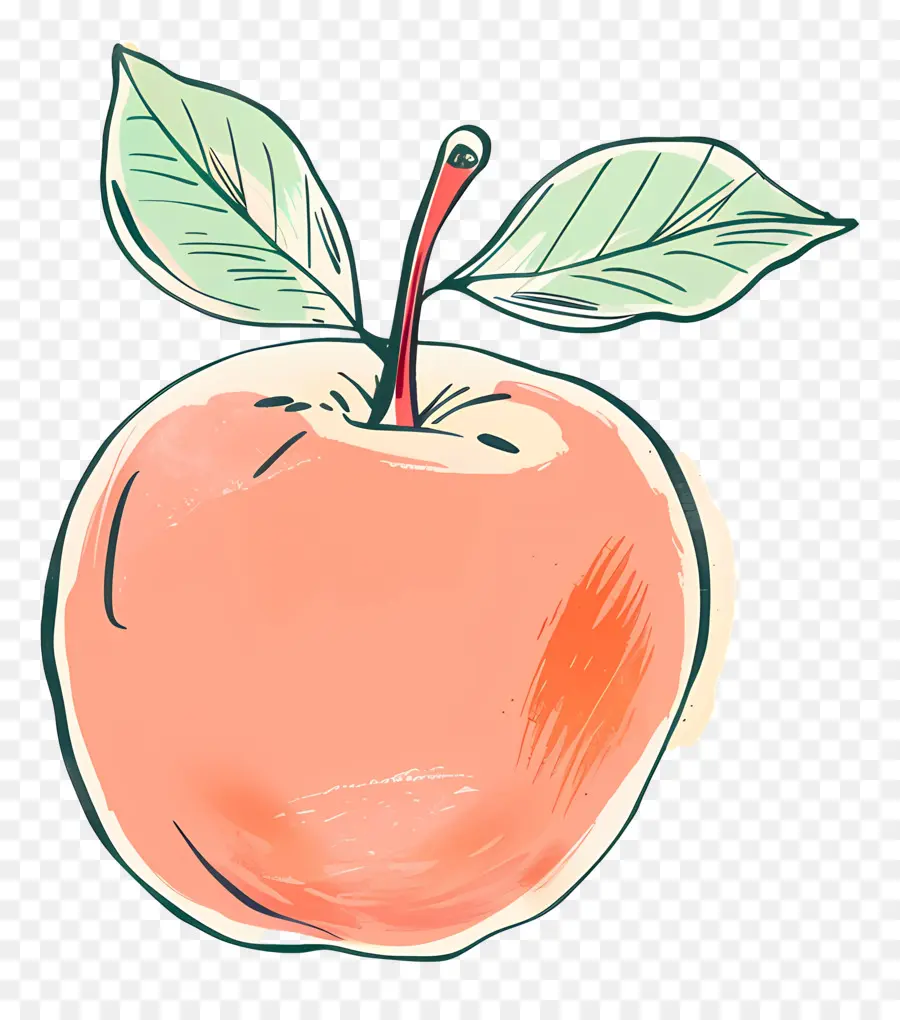 Manzana，Handdrawn PNG