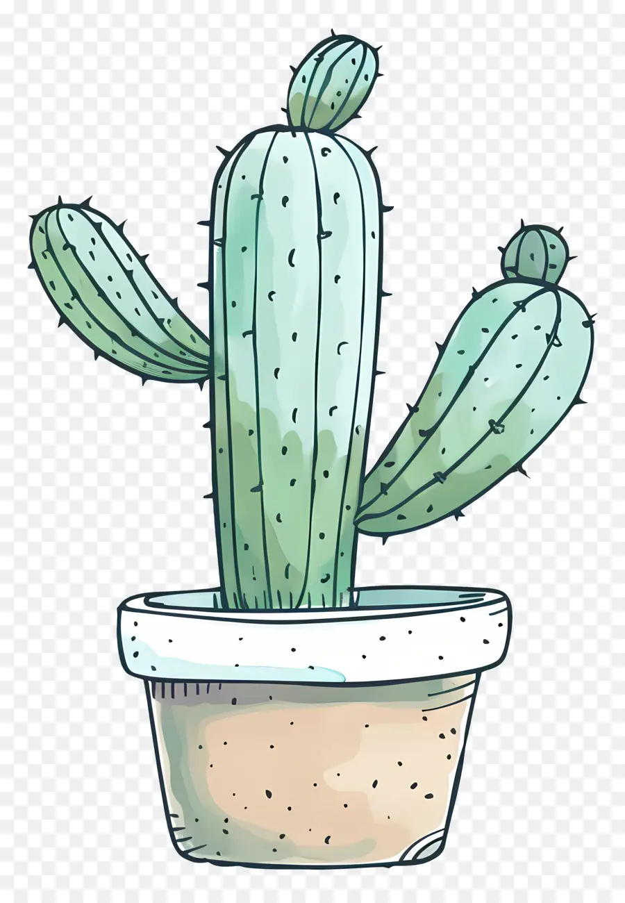 Verde Cactus，Planta De Cactus PNG