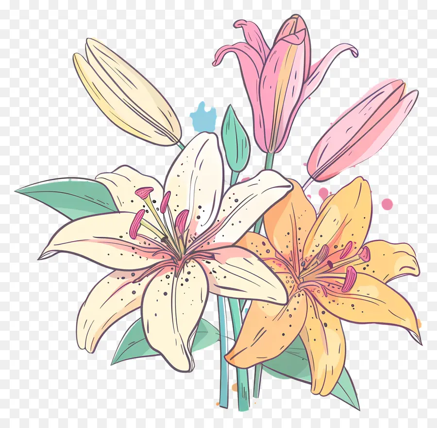 Lily Ramo，Flores De Lirio PNG