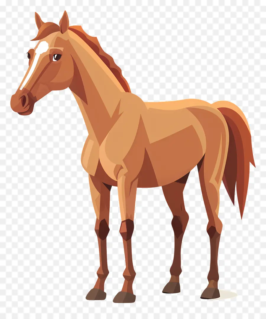 Dibujos Animados De Caballos，Caballo PNG