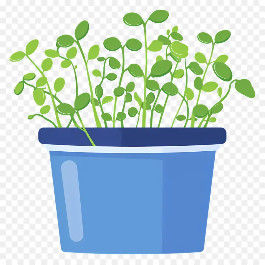 Bote De Microgreens，Azul Bote PNG