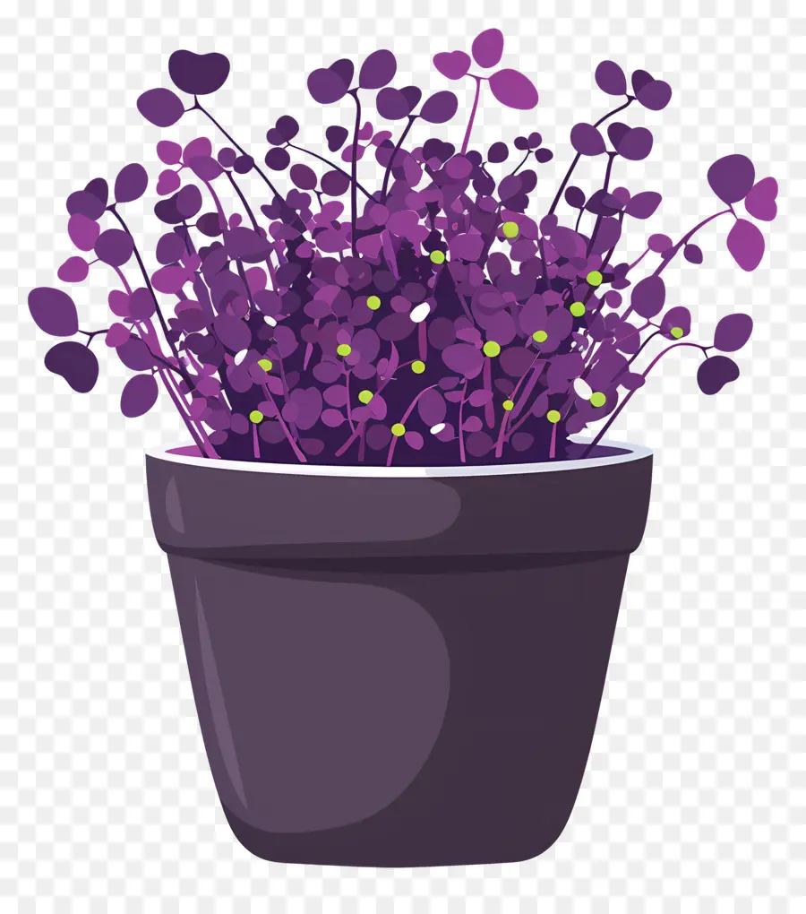 Bote De Microgreens，Flores De Color Púrpura PNG