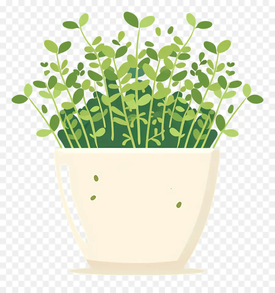 Bote De Microgreens，Las Plantas De Interior PNG