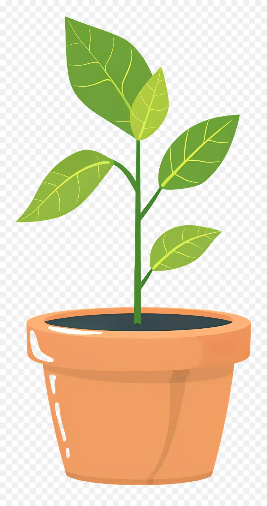 Las Plántulas，Planta En Maceta PNG