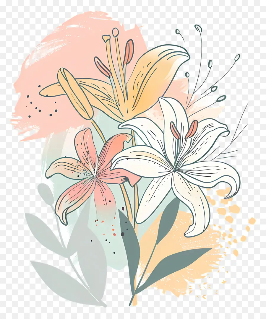 Lily Ramo，Pintura A La Acuarela PNG