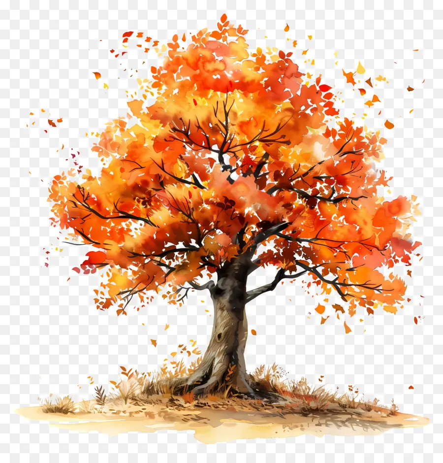 árbol De Otoño，Follaje De Otoño PNG