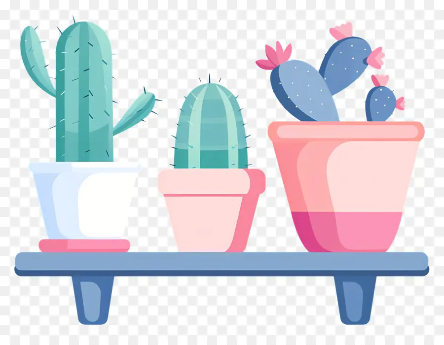 Cactus En Maceta，Plantas De Cactus PNG