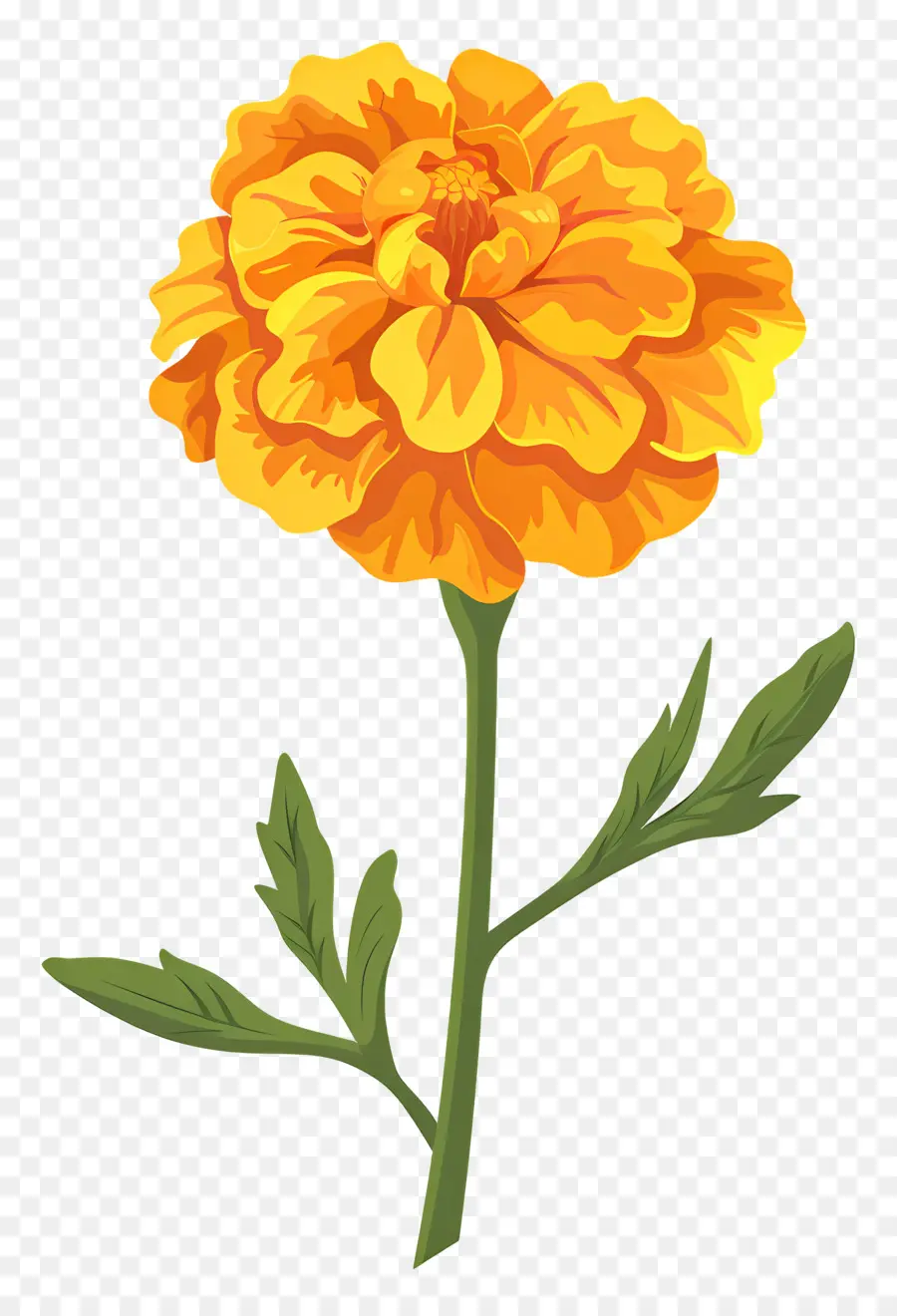 La Flor De Caléndula，Flor Amarilla PNG