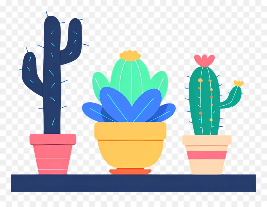 Cactus En Maceta，Cacti PNG